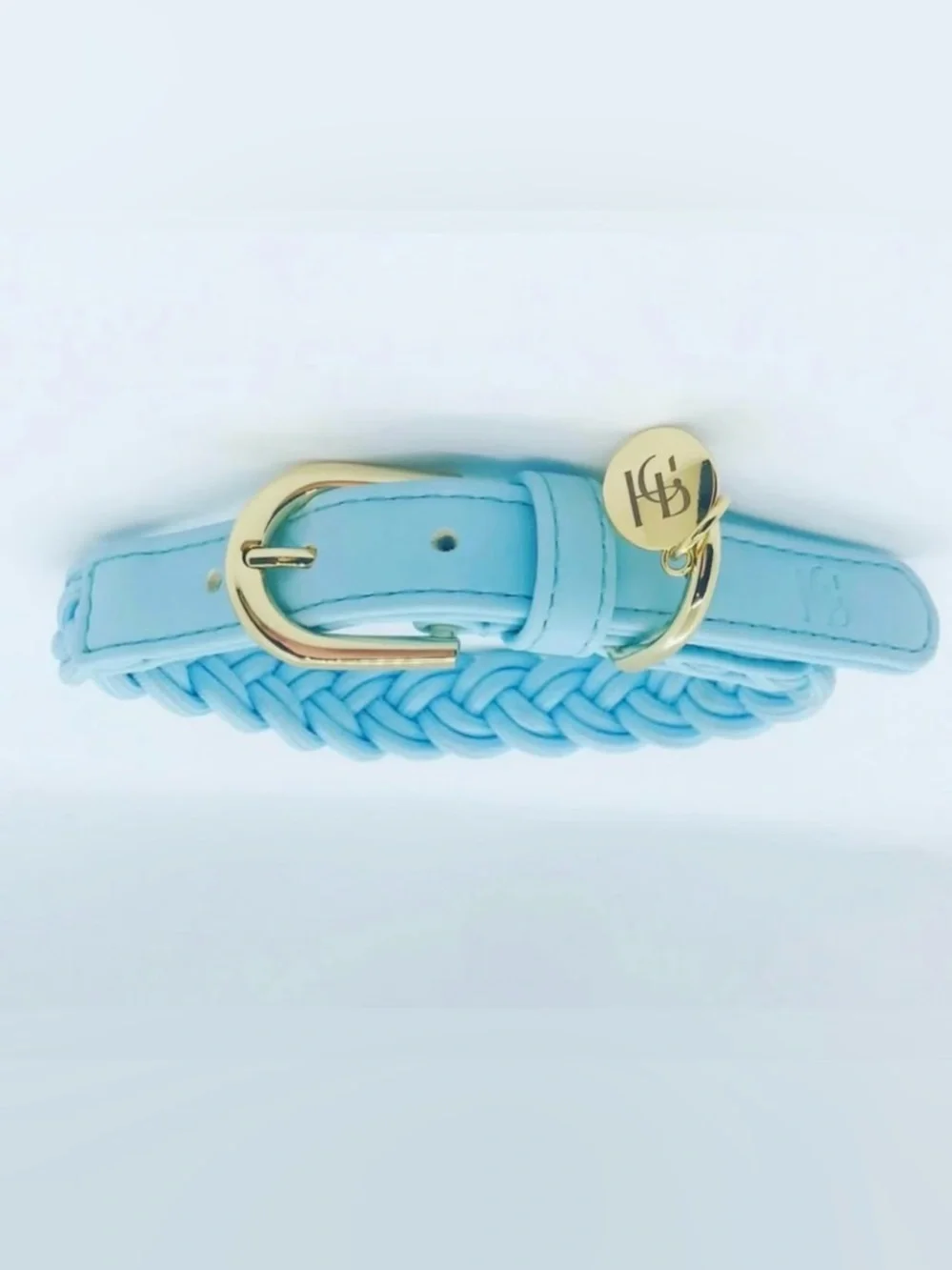 HGP Luxury Blue Weaved Dog Cat Collar Gold Hardware Leather Trim Small